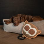 Tina Tarsier Bruin/Zwart
