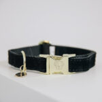Halsband Kentucky corduroy black