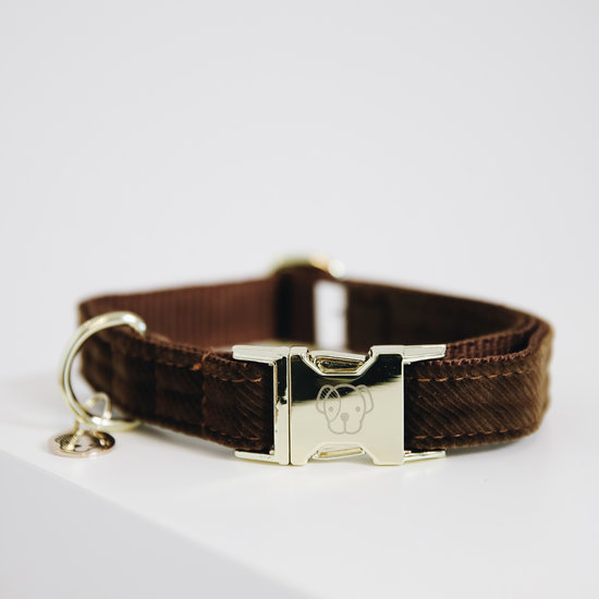 Halsband kentucky corduroy brown Halsband kentucky corduroy brown