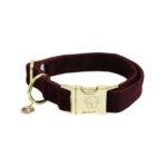 Halsband kentucky corduroy brown