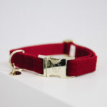 Halsband Kentucky corduroy red
