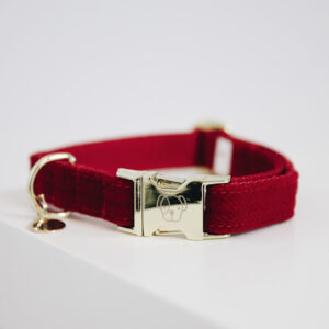 Halsband Kentucky corduroy red