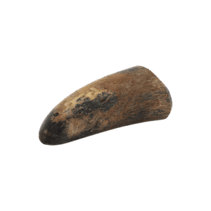 Chewies Buffelhoorn