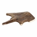 Chewies Damhertgewei