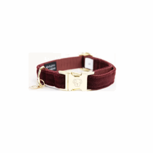 Halsband Kentucky Corduroy Bordeaux