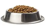 Dierenvoeding De Bolster dierenshop Brugge honden en katten