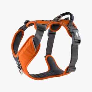 Dog Copenhagen Comfort Walk Pro Harnas Oranje