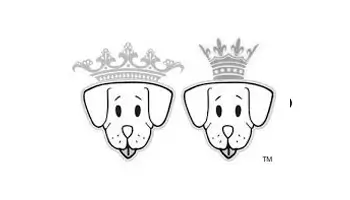 Donutkussen hond bessie en barnie