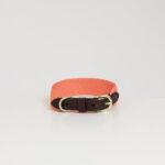 Halsband Kentucky Jacquard neon oranje