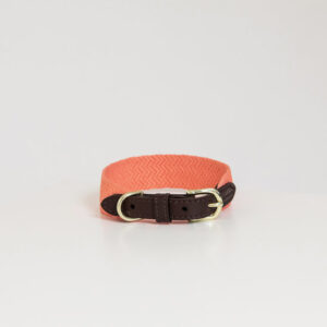 Halsband Kentucky Jacquard neon oranje