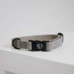 Halsband Kentucky Lizard beige