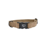 Halsband Kentucky Lizard bruin