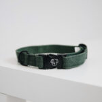 Halsband Kentucky Lizard olijfgroen