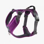 Dog Copenhagen Comfort Walk Pro Harnas Paars