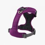 Dog Copenhagen Comfort Walk Pro Harnas Paars