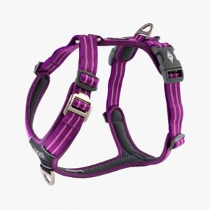 Dog Copenhagen Comfort Walk Air Harnas Paars