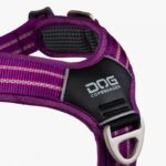 Dog Copenhagen Comfort Walk Air Harnas Paars