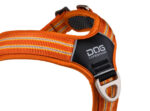 Dog Copenhagen Comfort Walk Air Harnas Oranje