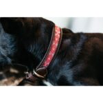 Halsband Kentucky handgemaakte parels Roze