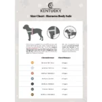 Harnas Body Safe Wool Kentucky Roze