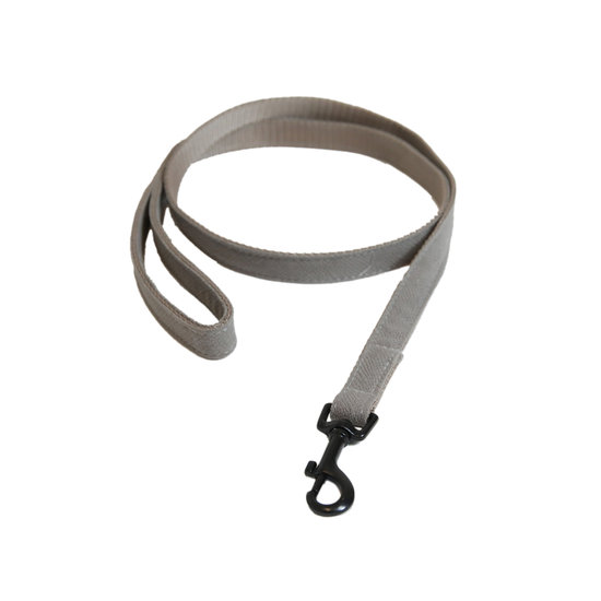 Leiband Lizard beige Kentucky