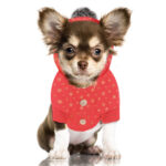 Milk and Pepper Luna Coral hondenhoody