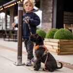 Dog Copenhagen Comfort Walk Pro Harnas Zwart