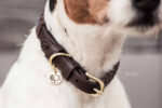 Halsband Kentucky triangle
