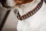 Halsband Kentucky triangle