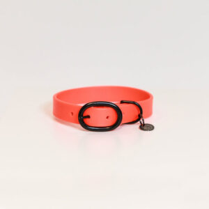 Halsband Kentucky soft rubber neon oranje Kentucky