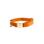Halsband Kentucky Velvet Oranje