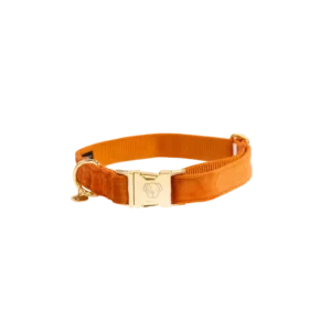 Halsband Kentucky Velvet Oranje