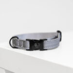 Halsband Kentucky reflective