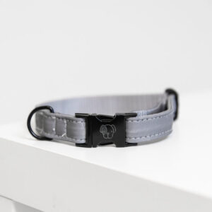 Halsband Kentucky reflective