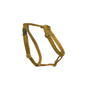 Kentucky Harnas loop mustard