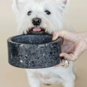 Voerbak Hond Kentucky Terrazzo Stone