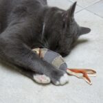 Canvas rugby kattenspeeltje