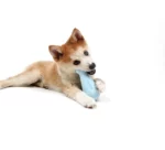 Ebi petit snackspeelgoed Geel