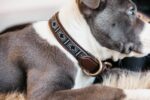 Halsband Kentucky handgemaakte Parels Zilver