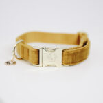 Halsband Kentucky velvet mustard