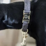 Halsband Kentucky wool grijs