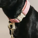 Halsband Kentucky wool licht roze