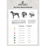 Harnas body safe wool Kentucky licht blauw