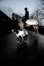 Hondenjas Kentucky reflect belly cover - Afbeelding 3