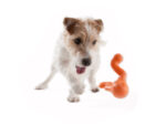 Zogoflex Tizzi Tangerine Small